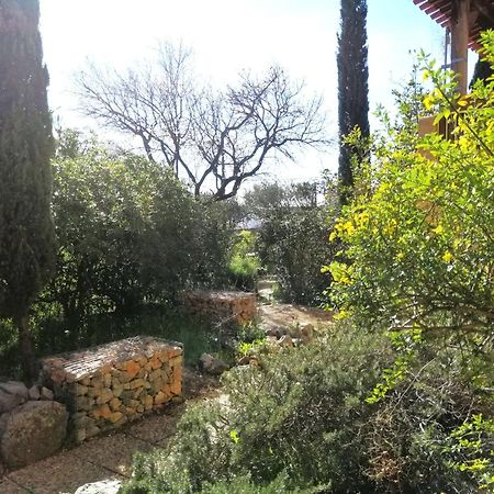 T2 36 M2, Rdc De Villa, Clim, Gd Jardin Clos, Animx Ok, Quartier Mt Faron Tres Calme, Wifi, Parking Toulon Eksteriør bilde