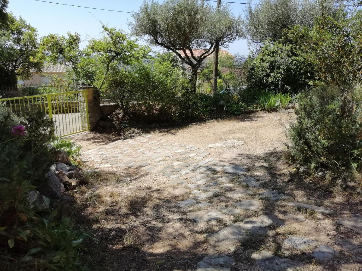 T2 36 M2, Rdc De Villa, Clim, Gd Jardin Clos, Animx Ok, Quartier Mt Faron Tres Calme, Wifi, Parking Toulon Eksteriør bilde