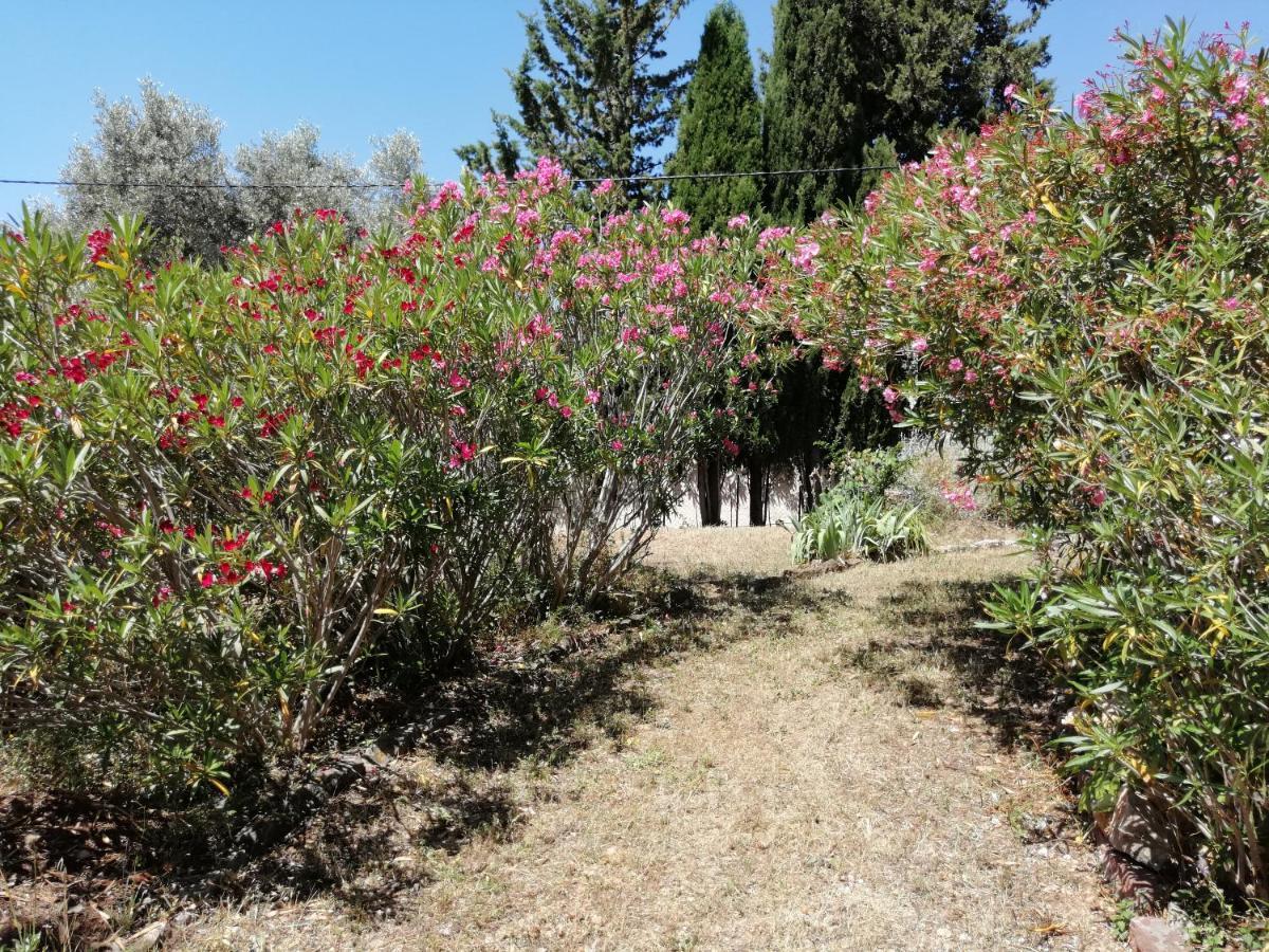 T2 36 M2, Rdc De Villa, Clim, Gd Jardin Clos, Animx Ok, Quartier Mt Faron Tres Calme, Wifi, Parking Toulon Eksteriør bilde