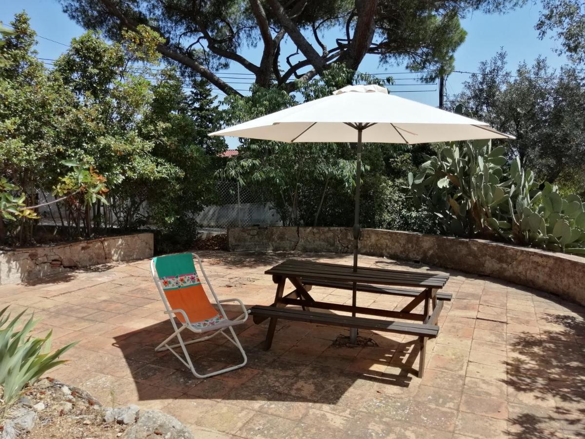 T2 36 M2, Rdc De Villa, Clim, Gd Jardin Clos, Animx Ok, Quartier Mt Faron Tres Calme, Wifi, Parking Toulon Eksteriør bilde