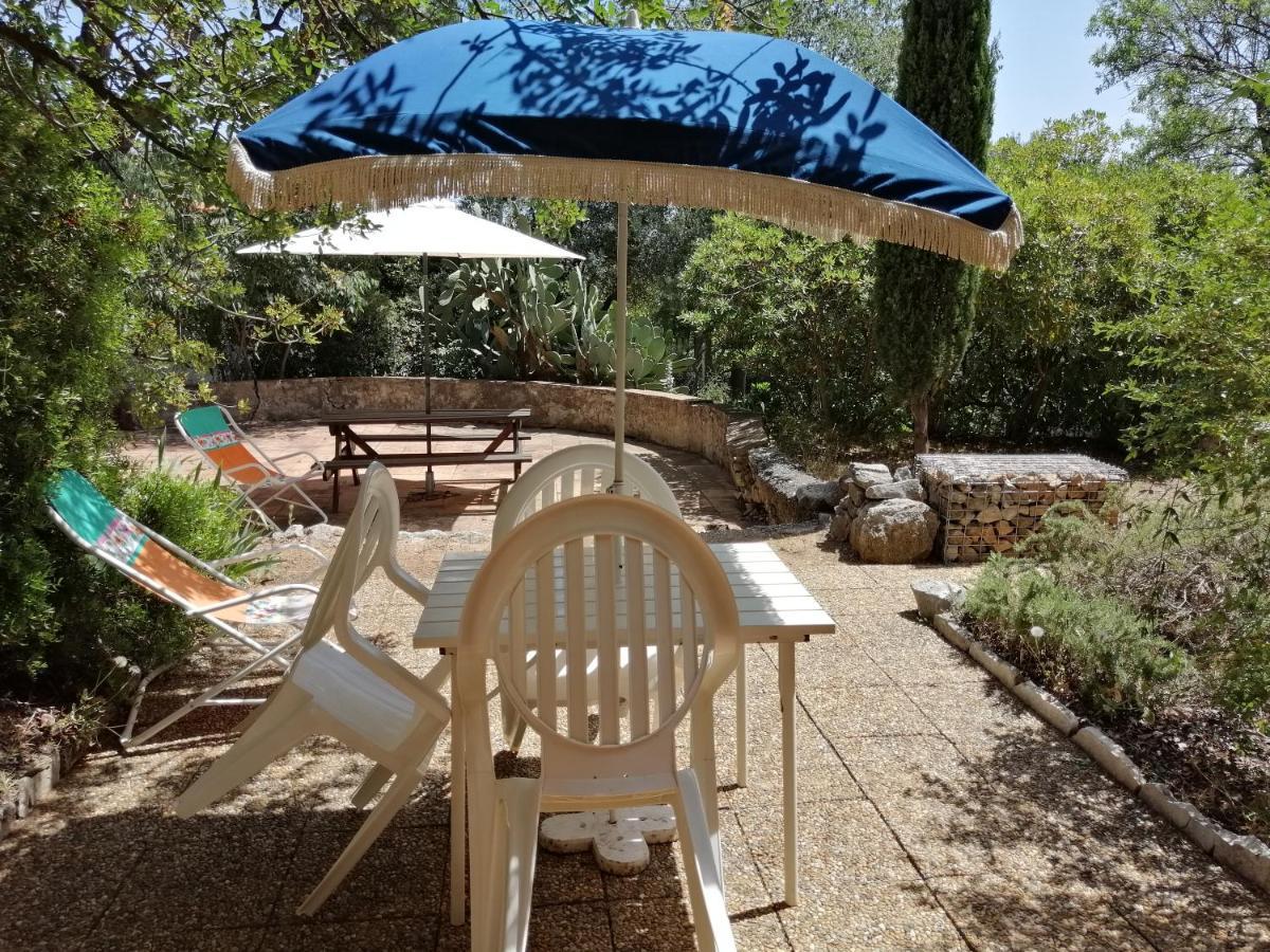 T2 36 M2, Rdc De Villa, Clim, Gd Jardin Clos, Animx Ok, Quartier Mt Faron Tres Calme, Wifi, Parking Toulon Eksteriør bilde