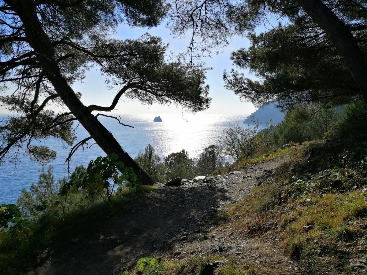 T2 36 M2, Rdc De Villa, Clim, Gd Jardin Clos, Animx Ok, Quartier Mt Faron Tres Calme, Wifi, Parking Toulon Eksteriør bilde