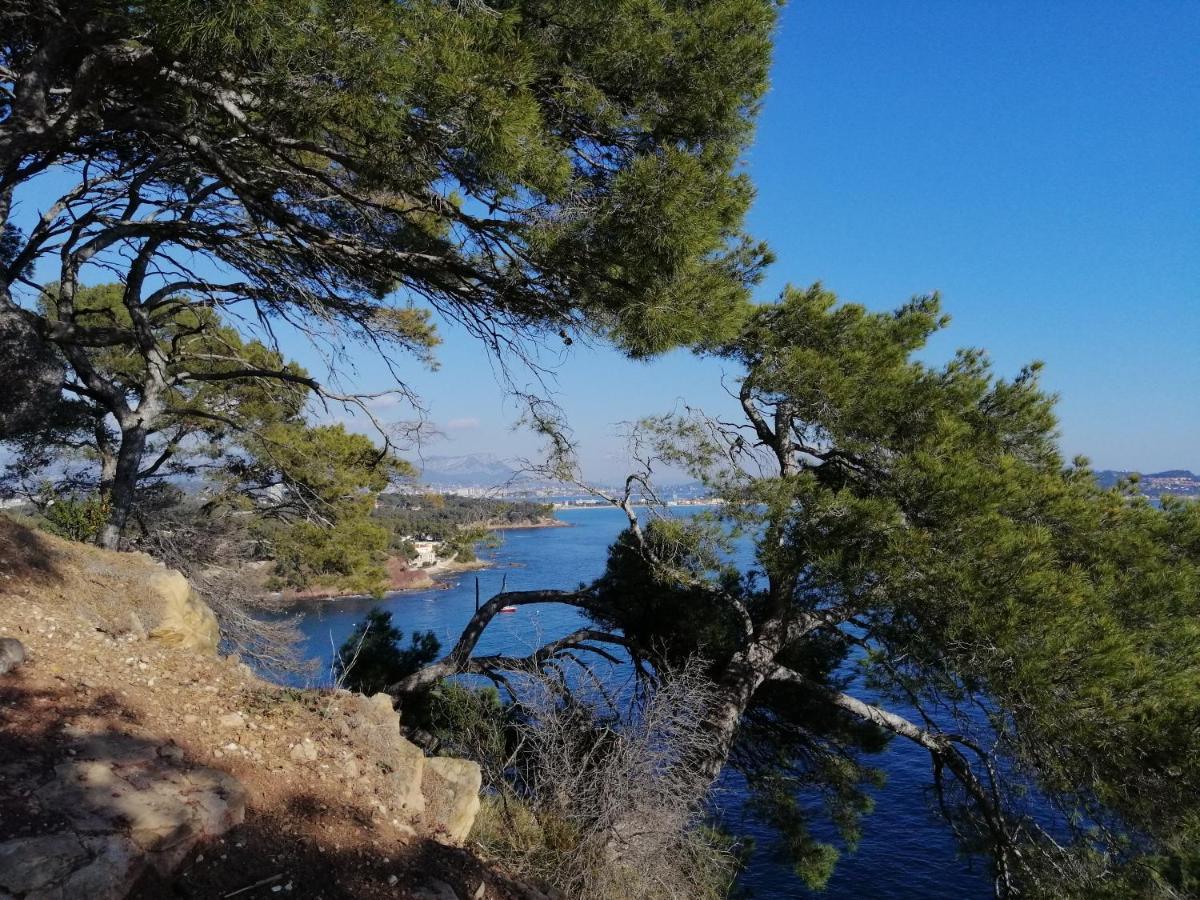 T2 36 M2, Rdc De Villa, Clim, Gd Jardin Clos, Animx Ok, Quartier Mt Faron Tres Calme, Wifi, Parking Toulon Eksteriør bilde